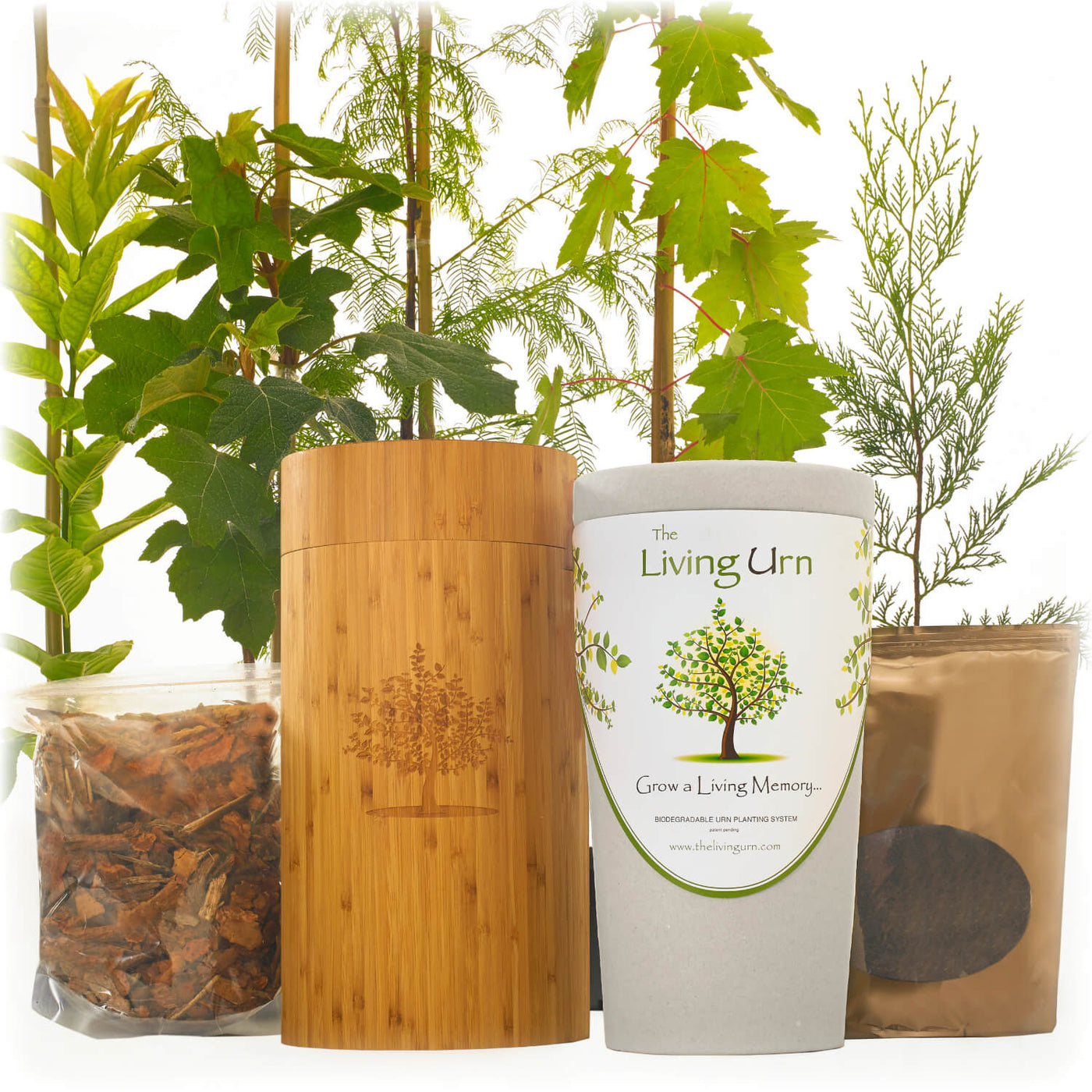 Living Urn System Only (use with your own tree, plant or flowers) - Teraloom